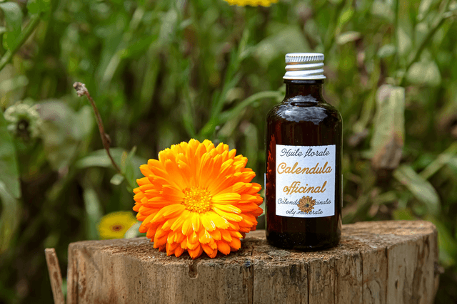 Huile de Calendula officinal (50ml)